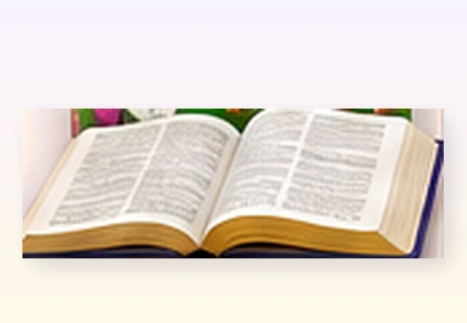 Illustrative children's Bible and open Scripture